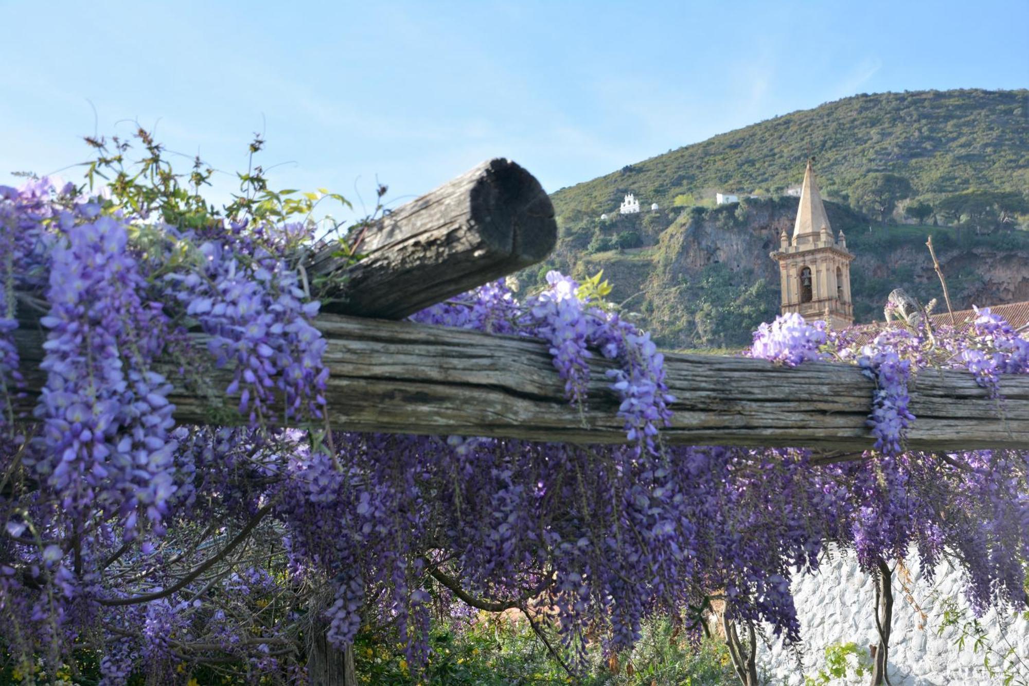 Posada San Marcos *